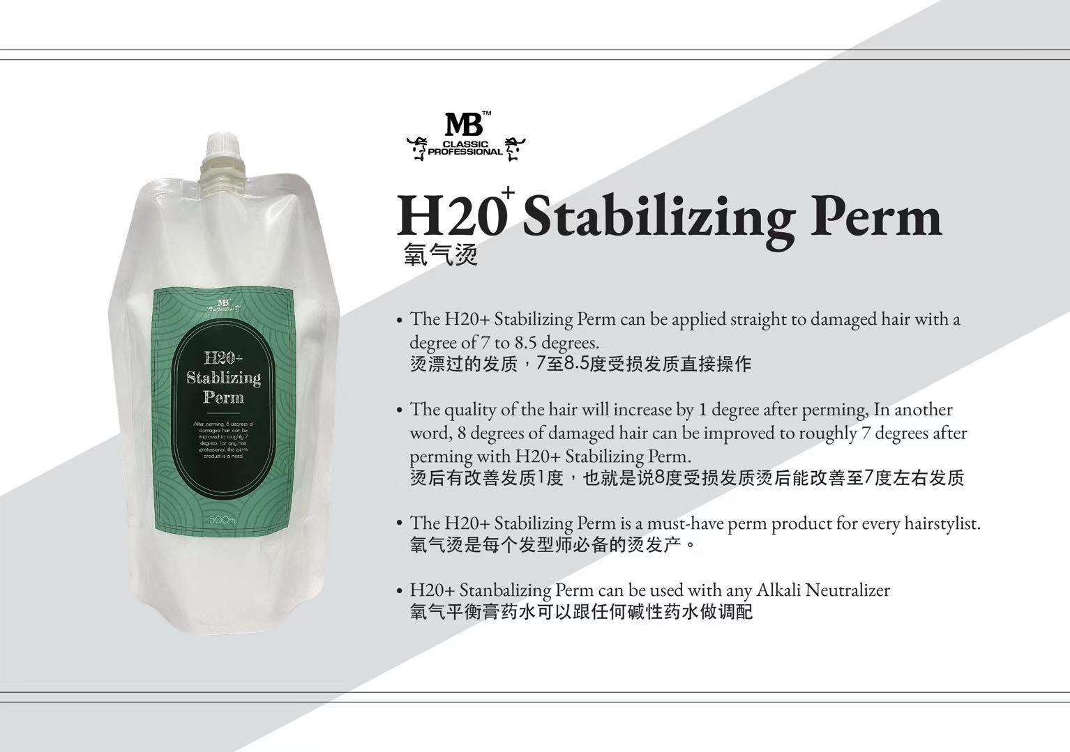H20 Stabilizing Perm